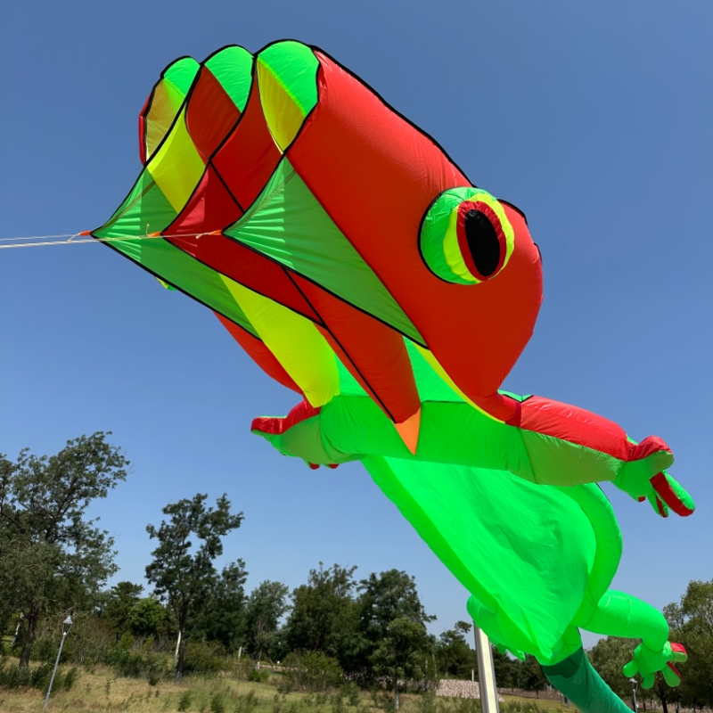 Outdoor Sport An - Outdoor-Sport 14m Riesen-Gecko Weicher Aufblasbarer Drachen