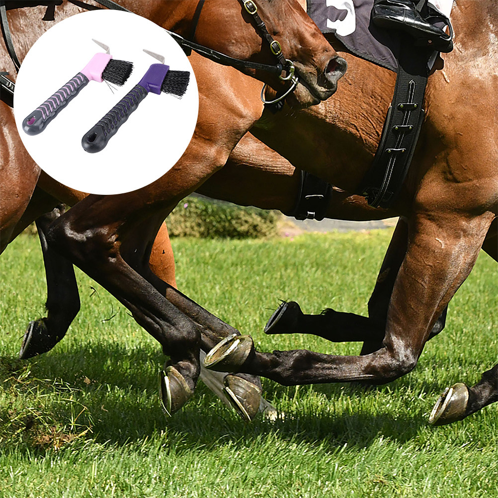 2 Stück Hufkratzer mit Bürste  – Brushing Boot Horse Bewertung und Preis