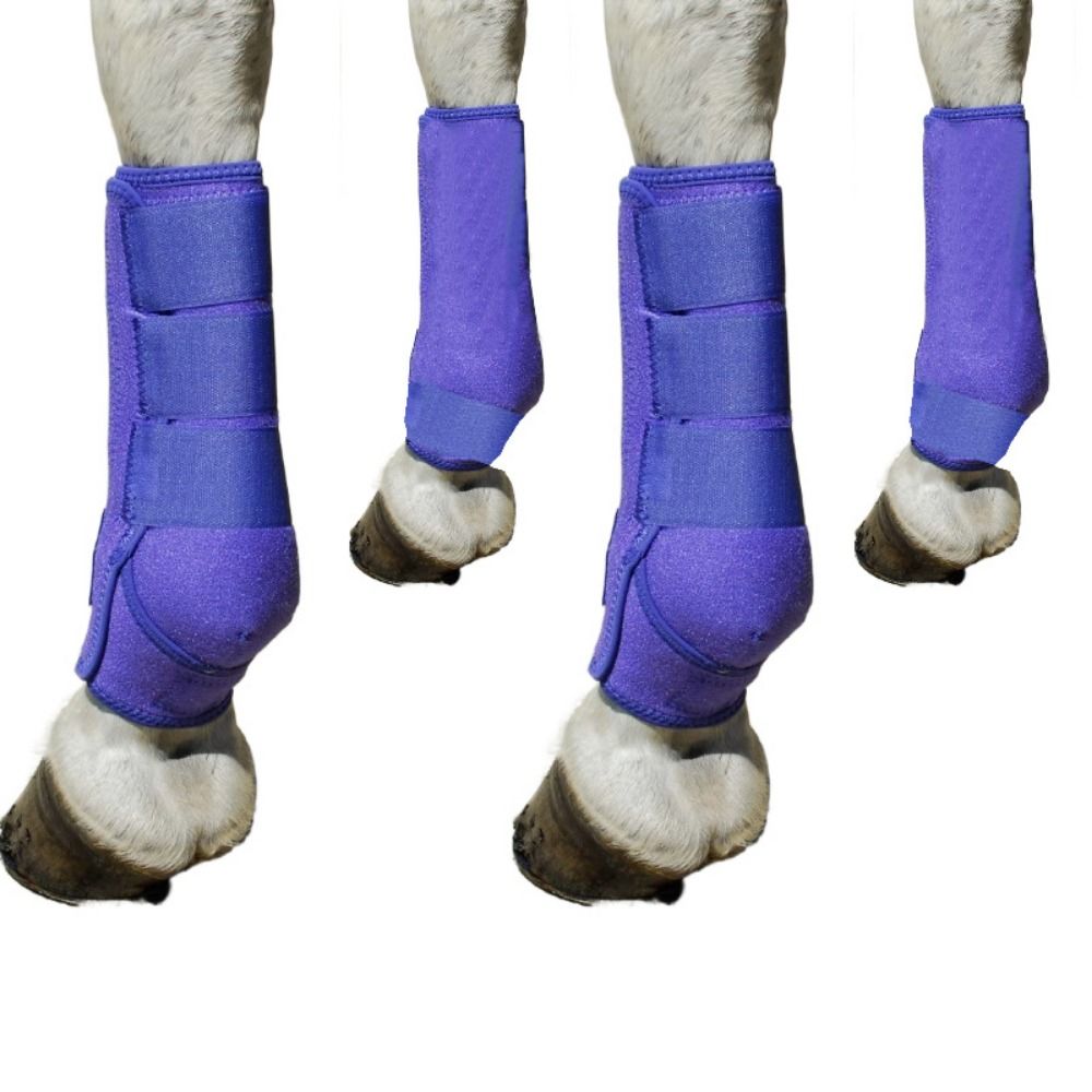4er-Set bunte Pferdesportgamas – Brushing Boot Horse Bewertung und Preis