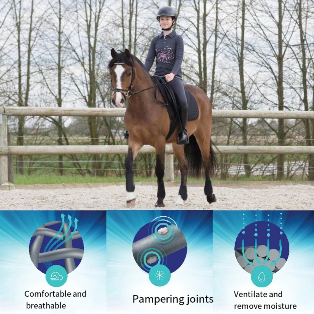 4er-Set bunte Pferdesportgamas – Brushing Boot Horse Bewertung und Preis