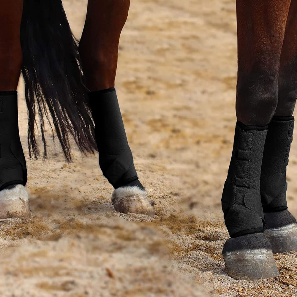 4er-Set bunte Pferdesportgamas – Brushing Boot Horse Bewertung und Preis
